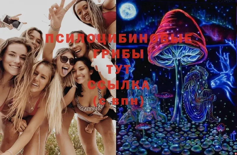 Галлюциногенные грибы MAGIC MUSHROOMS  Краснообск 